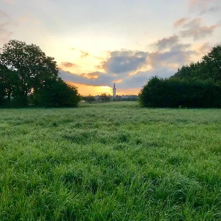 Ferien-apartment Silberweide - Mit Priv Strandzugang Apartment Friedrichshafen